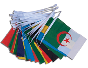 African Nation Bunting