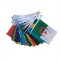 African Nation Bunting